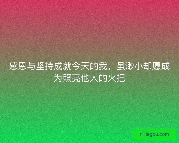 感恩与坚持成就今天的我,虽渺小却愿成为照亮他人的火把 感恩与坚持成就今天的我,虽渺小却愿成为照亮他人的火把